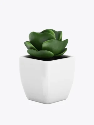 product image 9 optimized