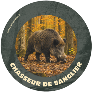 Chasseur de sanglier