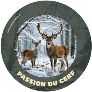 Passion du Cerf