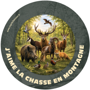 J'aime la chasse en montagne