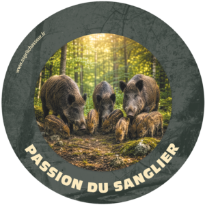 La passion du sanglier