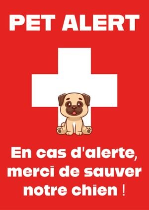 pet alert chien