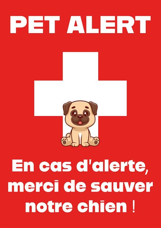 pet alert chien