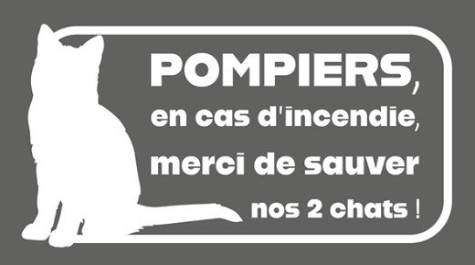 pompiers chats