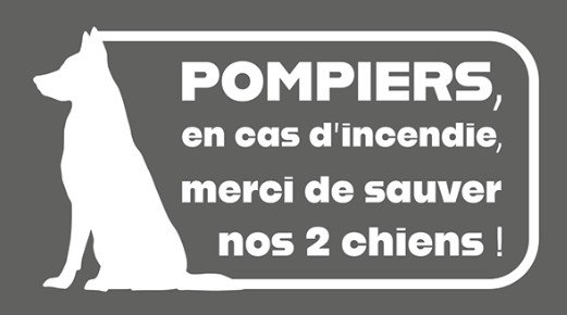 pompiers chiens