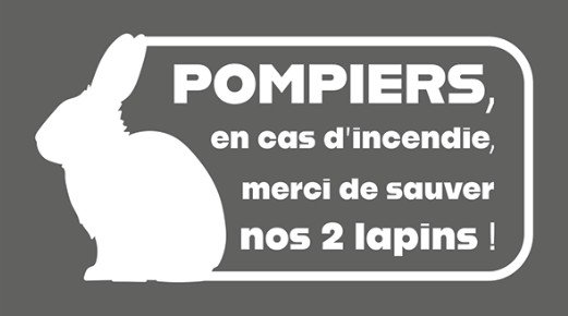 pompiers lapins
