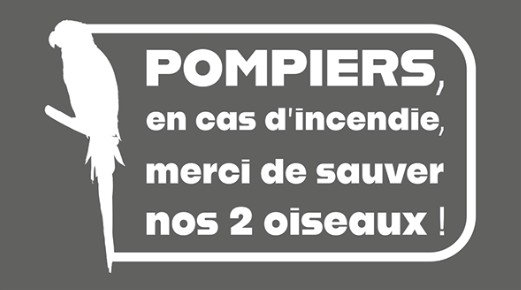 pompiers oiseaux
